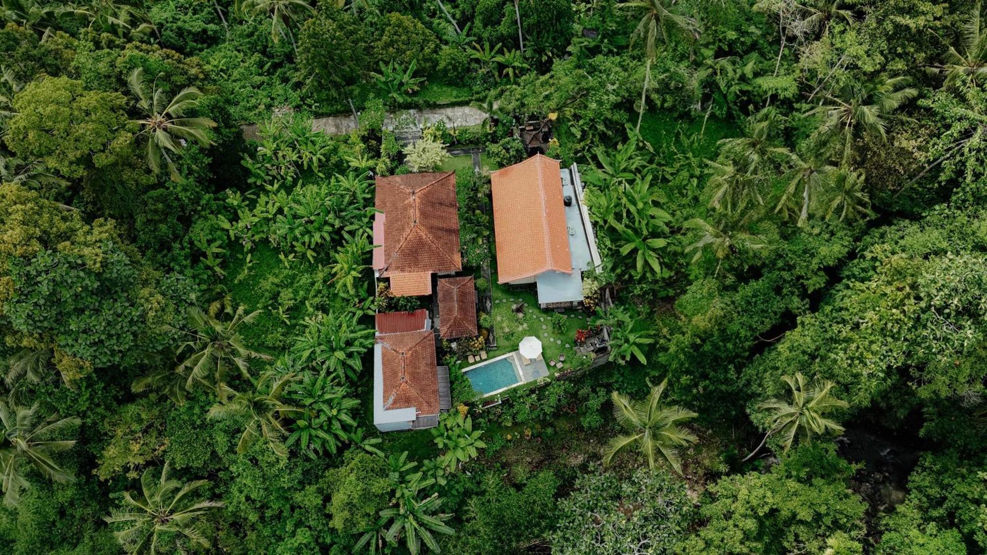 Campuhan Guesthouse Selemadeg Esterno foto