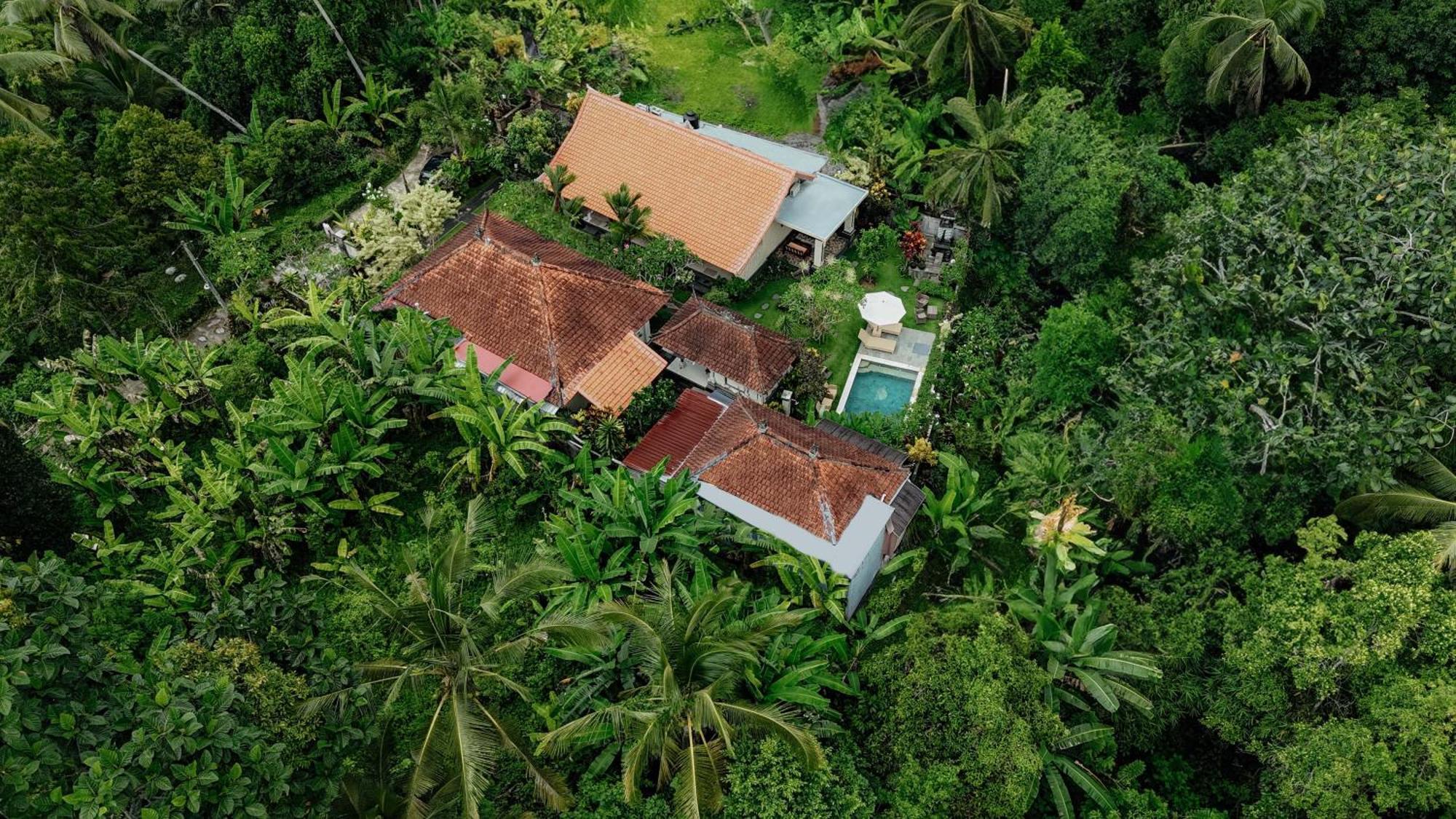 Campuhan Guesthouse Selemadeg Esterno foto